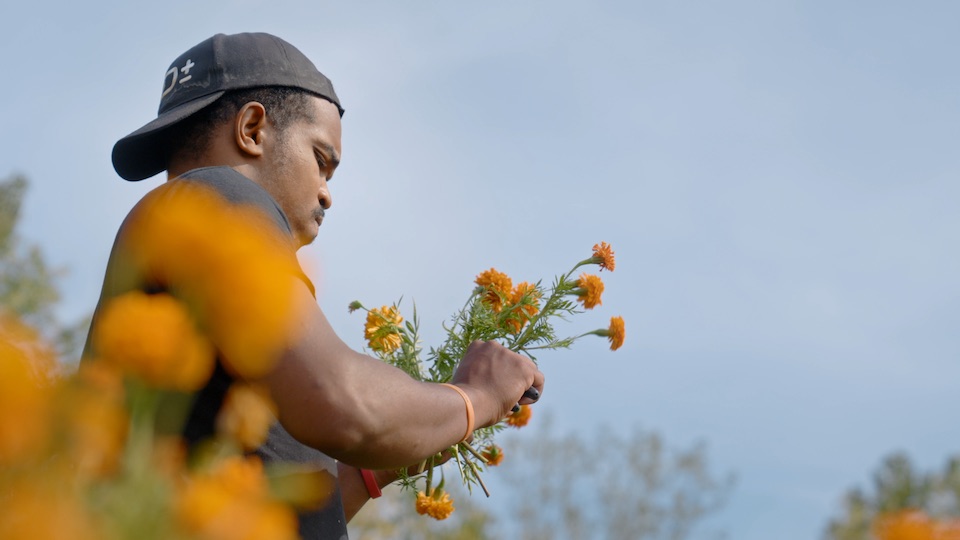A young person tending flowers