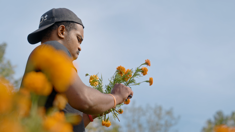 A young person tending flowers